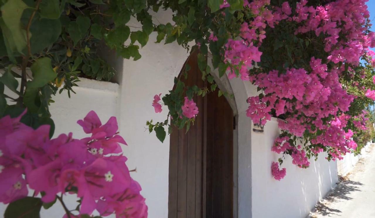 Alexiszorba Villa ปลากา ภายนอก รูปภาพ